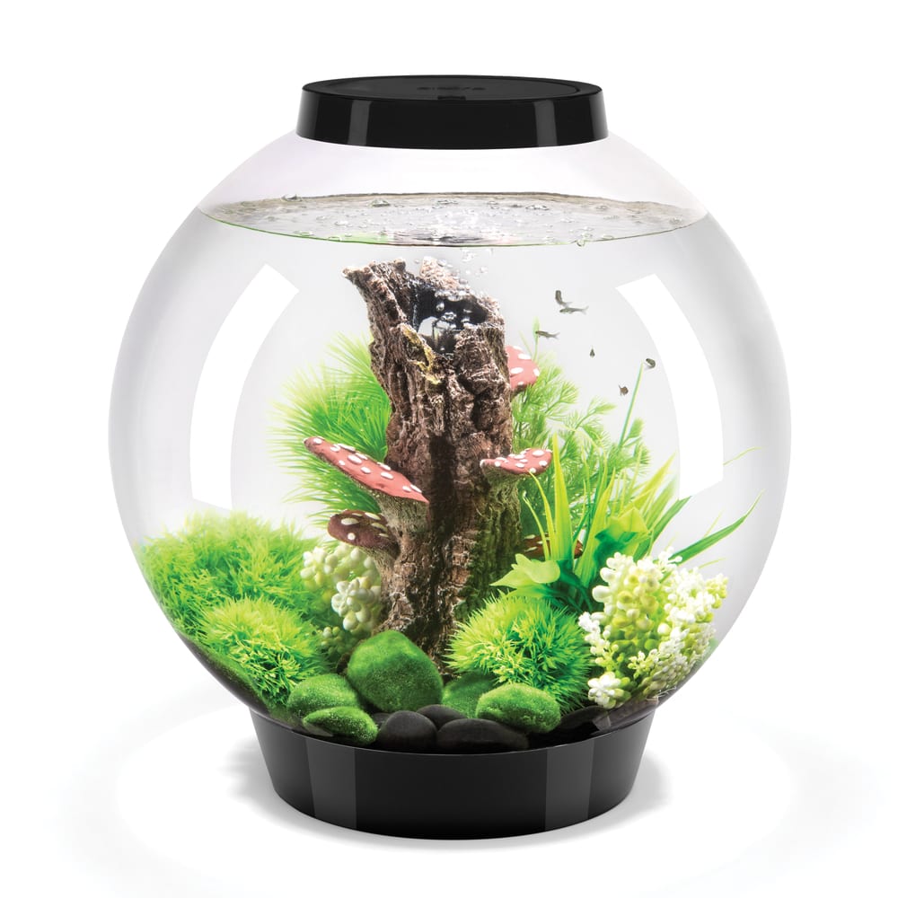 Acuario esfera de acrílico biOrb Classic 30, 30 litros, con iluminación LED controlada por mando a distancia