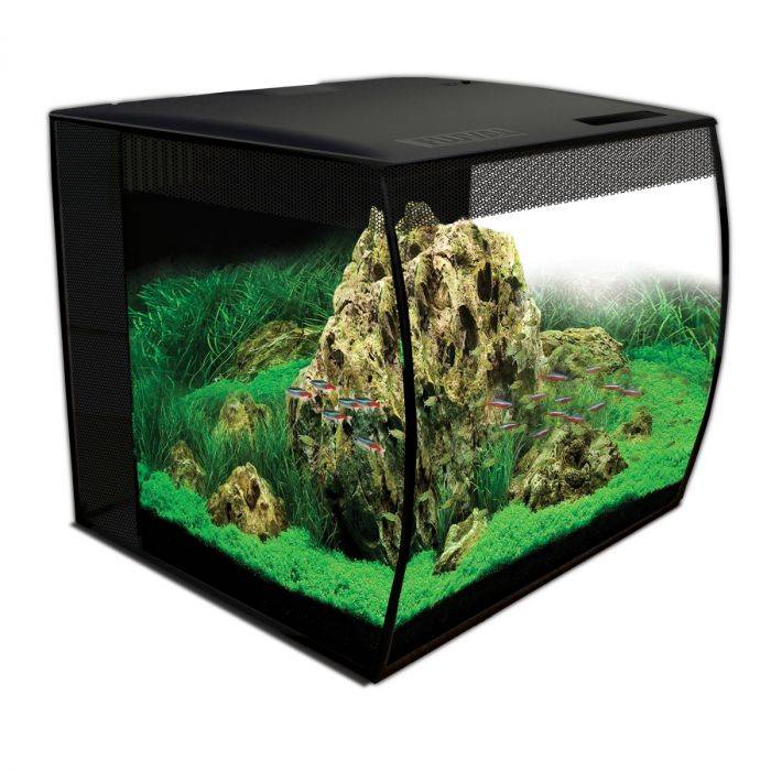 Acuario Fluval Flex 15 de 57 litros con frontal curvo e iluminación LED RGBW