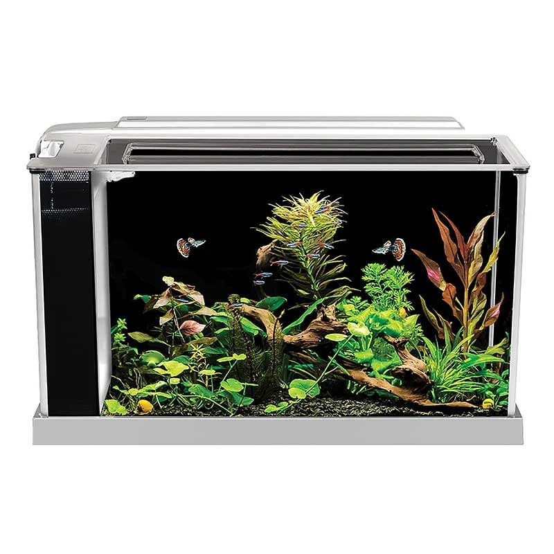 Nano acuario Fluval Spec V de 19 litros con filtración oculta y luz LED