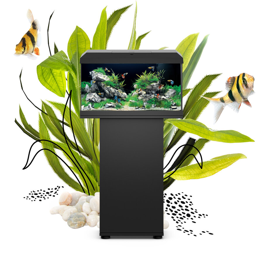 Acuario Juwel Primo 70 LED en negro con tapa y filtración integrada